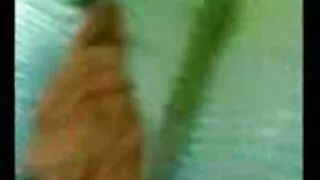 Des biches chaudes et sexy se baisent dans video 3x gratuit la salle de bain