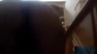 White hottie Lavander baise la méchante petite amie ébène vidéo pornographique noir Mercy avec un strapon