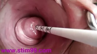 Une nana obéissante avec de beaux site videoporno juggs fait une pipe chaude à son petit ami